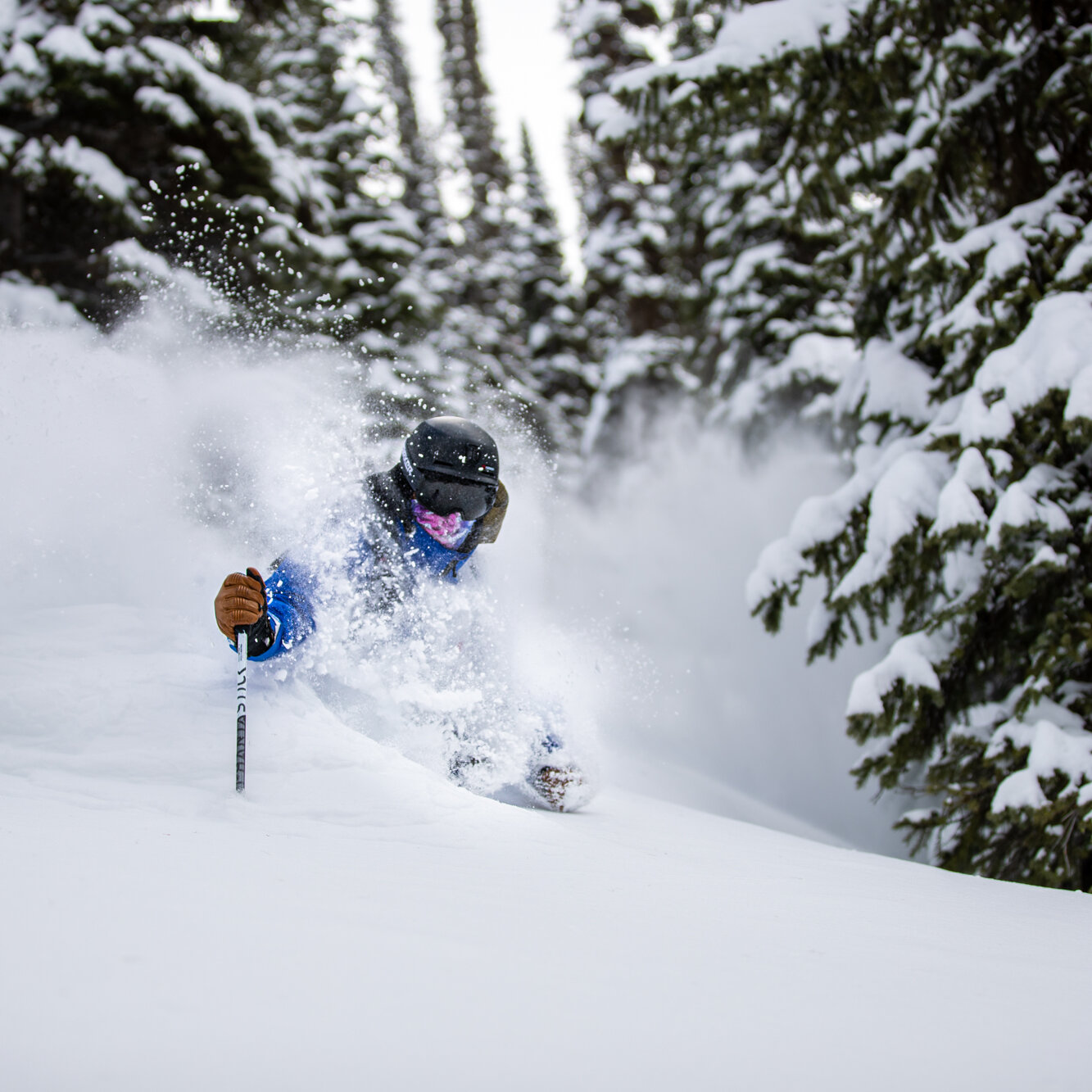 World famous Kootenay powder skiing at Stellar Heliskiing.