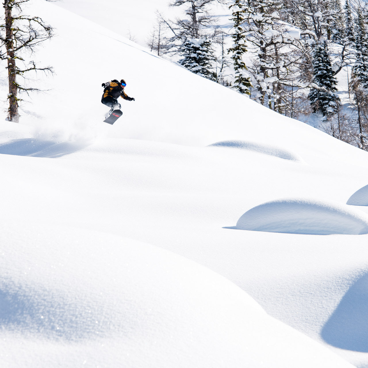 Small group untracked powder skiing at Stellar Heliskiing.